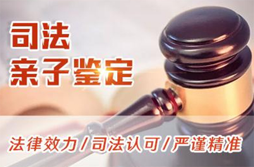 烟台司法DNA亲子鉴定的流程,司法DNA亲子鉴定采集哪些样本